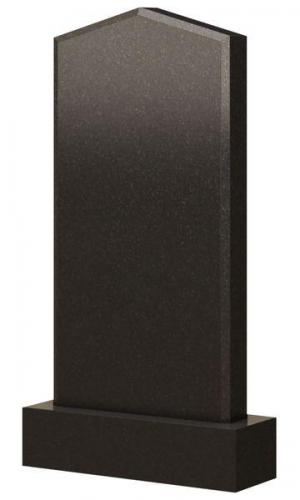 SN0009