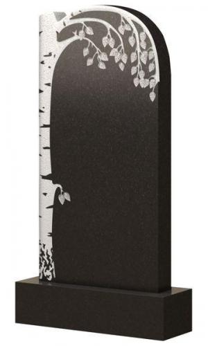 SN0170