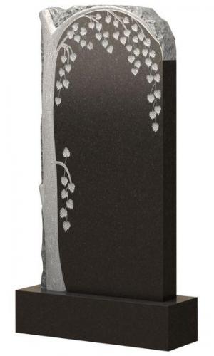 SN0389
